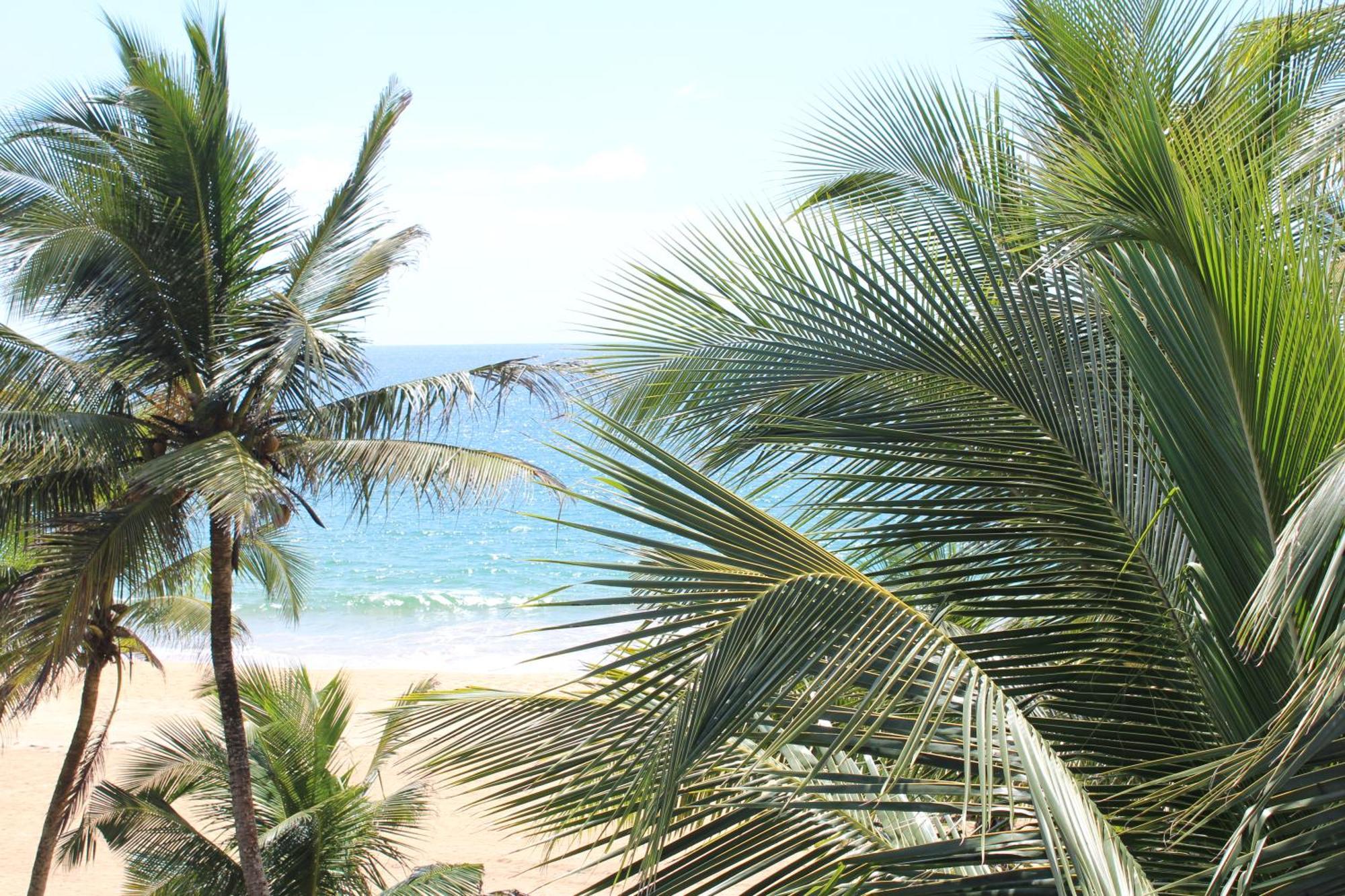 Prana Beach Hotel Ex Guli Hikkaduwa Exterior photo